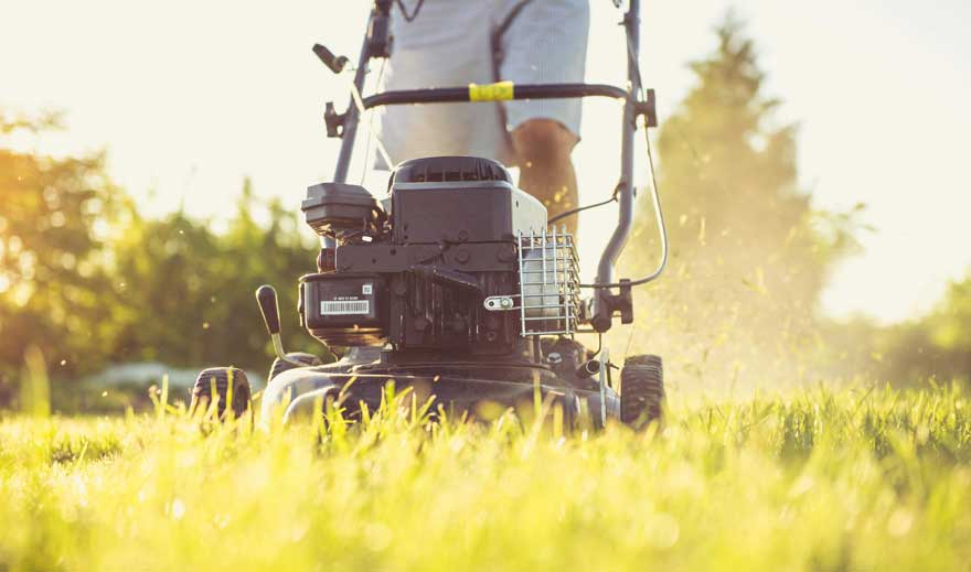 Jardinage, tonte de pelouse et taille de haie - JTPS Multiservices à Pouilly-sur-Saône et Seurre